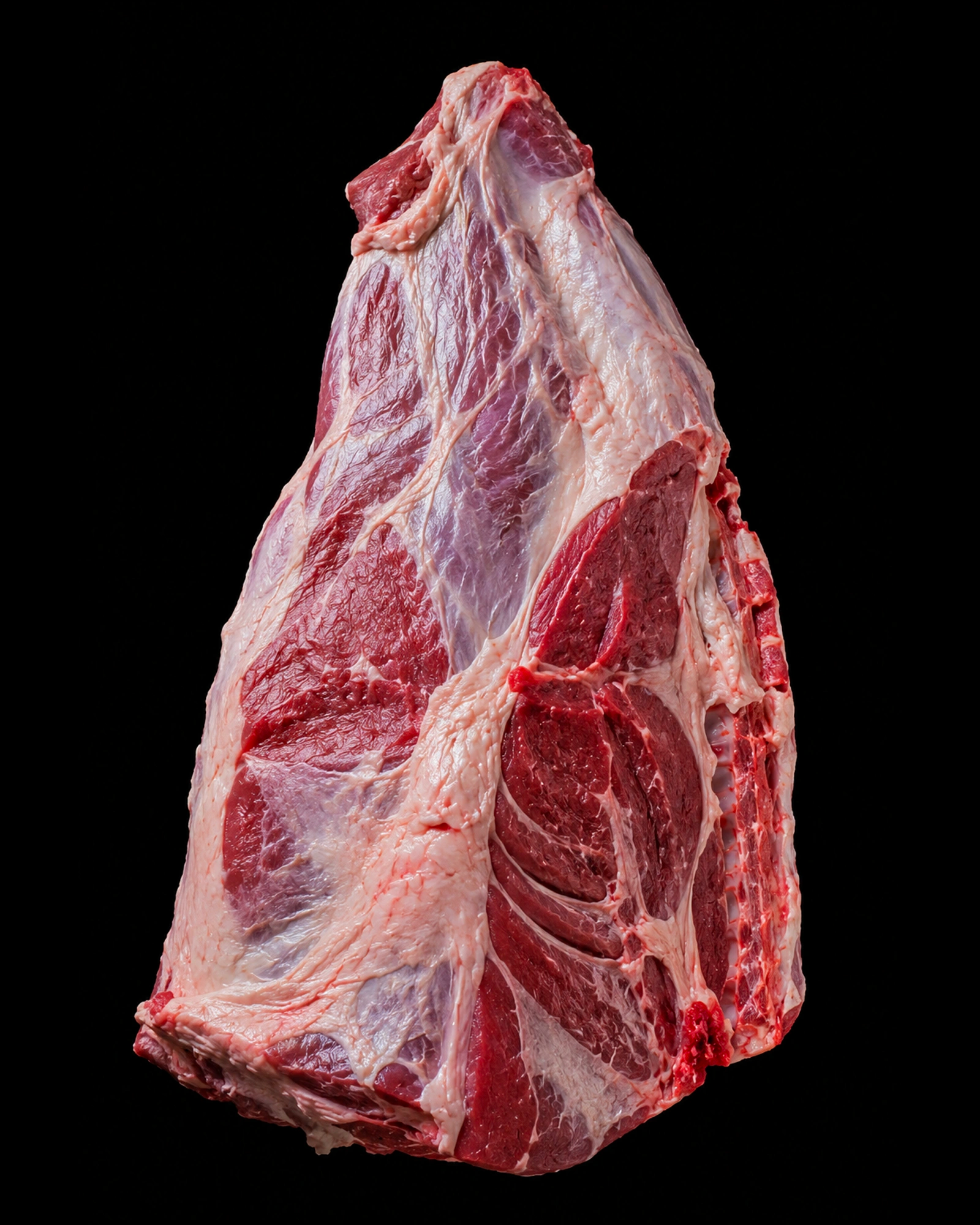Mutton, studio, on brushed steel, overhead